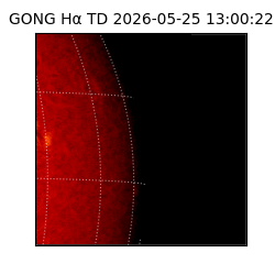 gong - 2026-05-25T13:00:22