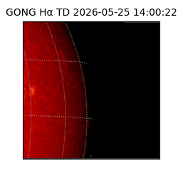 gong - 2026-05-25T14:00:22