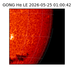 gong - 2026-05-25T01:00:42