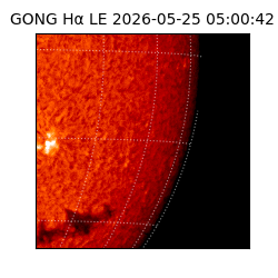 gong - 2026-05-25T05:00:42