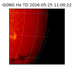 gong - 2026-05-25T11:00:22