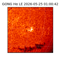 gong - 2026-05-25T01:00:42