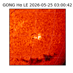 gong - 2026-05-25T03:00:42
