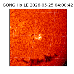 gong - 2026-05-25T04:00:42