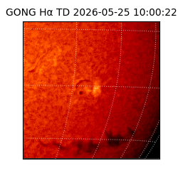 gong - 2026-05-25T10:00:22