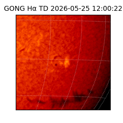 gong - 2026-05-25T12:00:22