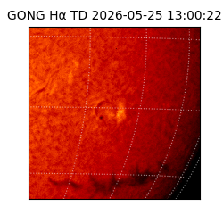 gong - 2026-05-25T13:00:22