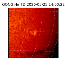 gong - 2026-05-25T14:00:22