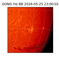 gong - 2026-05-25T23:00:02