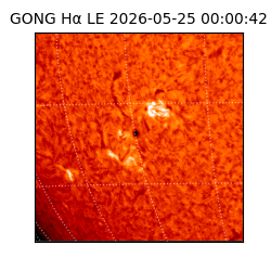 gong - 2026-05-25T00:00:42