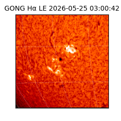 gong - 2026-05-25T03:00:42