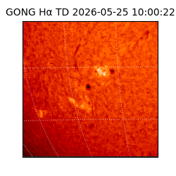 gong - 2026-05-25T10:00:22