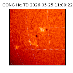 gong - 2026-05-25T11:00:22