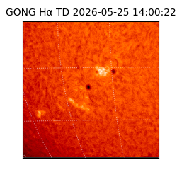 gong - 2026-05-25T14:00:22