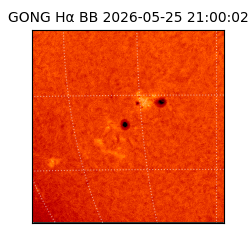 gong - 2026-05-25T21:00:02