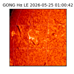 gong - 2026-05-25T01:00:42