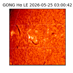 gong - 2026-05-25T03:00:42