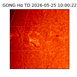 gong - 2026-05-25T10:00:22