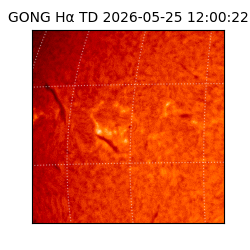 gong - 2026-05-25T12:00:22