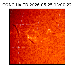 gong - 2026-05-25T13:00:22