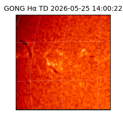 gong - 2026-05-25T14:00:22