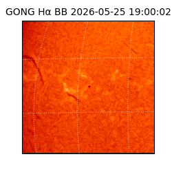 gong - 2026-05-25T19:00:02