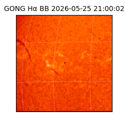 gong - 2026-05-25T21:00:02