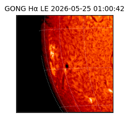 gong - 2026-05-25T01:00:42