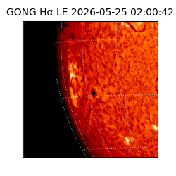 gong - 2026-05-25T02:00:42