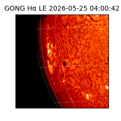 gong - 2026-05-25T04:00:42