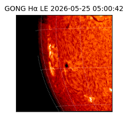 gong - 2026-05-25T05:00:42