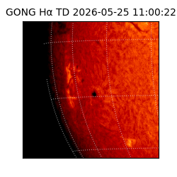 gong - 2026-05-25T11:00:22