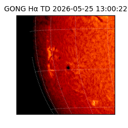 gong - 2026-05-25T13:00:22