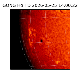 gong - 2026-05-25T14:00:22