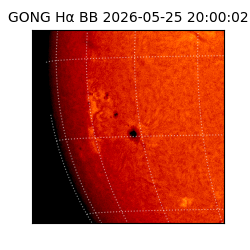 gong - 2026-05-25T20:00:02