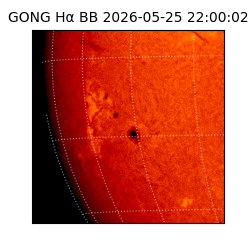 gong - 2026-05-25T22:00:02