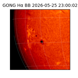 gong - 2026-05-25T23:00:02