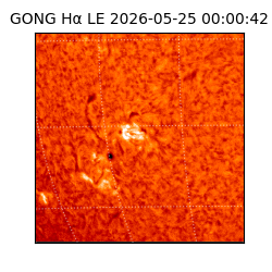 gong - 2026-05-25T00:00:42