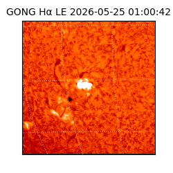 gong - 2026-05-25T01:00:42