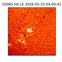 gong - 2026-05-25T04:00:42