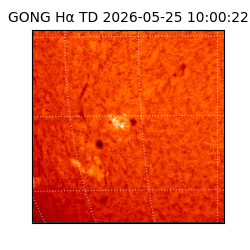 gong - 2026-05-25T10:00:22