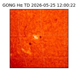 gong - 2026-05-25T12:00:22