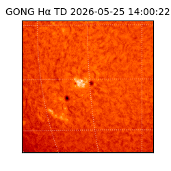 gong - 2026-05-25T14:00:22