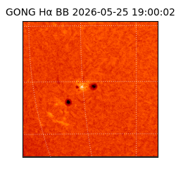 gong - 2026-05-25T19:00:02