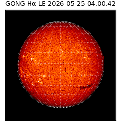 gong - 2026-05-25T04:00:42