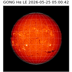 gong - 2026-05-25T05:00:42