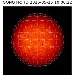 gong - 2026-05-25T10:00:22