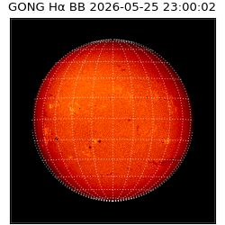 gong - 2026-05-25T23:00:02