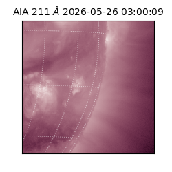 saia - 2026-05-26T03:00:09.623000
