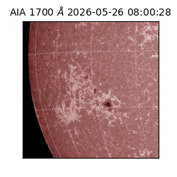 saia - 2026-05-26T08:00:28.716000